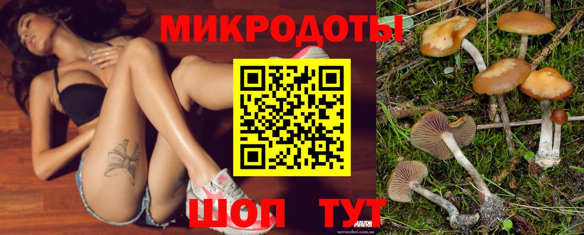 Псилоцибиновые грибы прущие грибы Махачкала